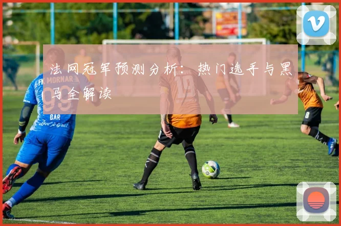 法网冠军预测分析:热门选手与黑马全解读